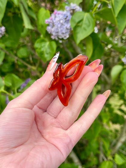 Petite pince papillon - marron